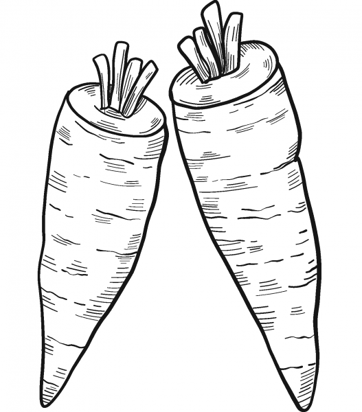 Two Carrots coloring page image