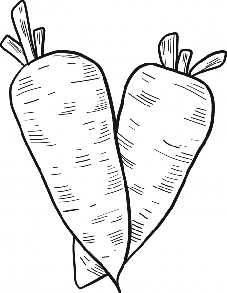 Two Carrots coloring page image