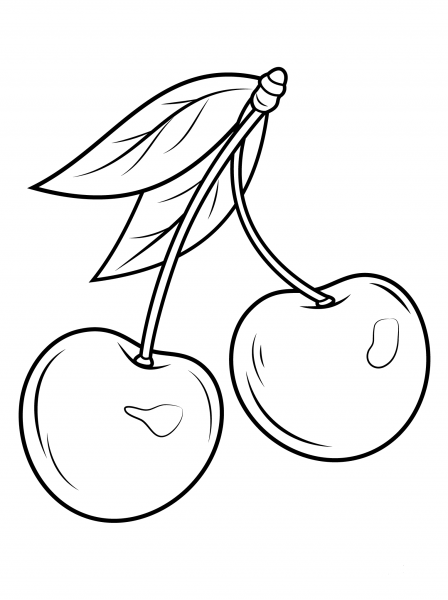 Two Cherries coloring page image