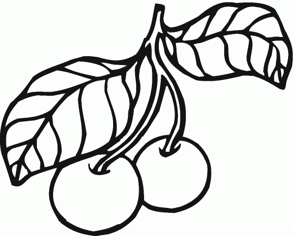 Two Cherries on Stem with Leaves coloring page image