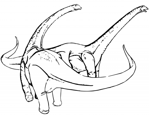 Two Diplodocus  coloring page image