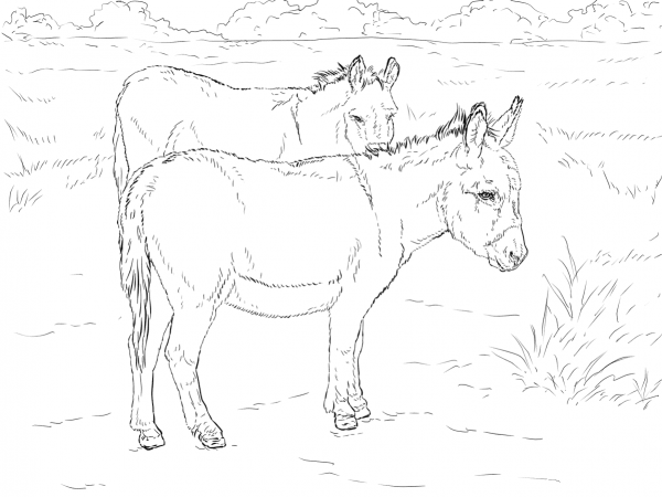 Two Donkeys coloring page image