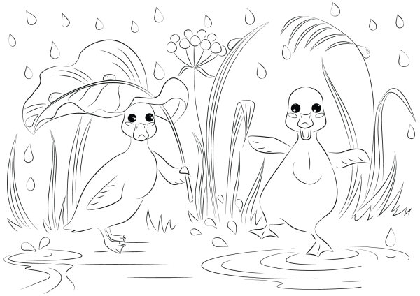 Two Ducks in the Rain coloring page image