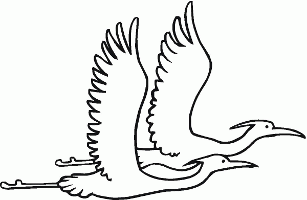 Two Egret Are Flying Together coloring page image