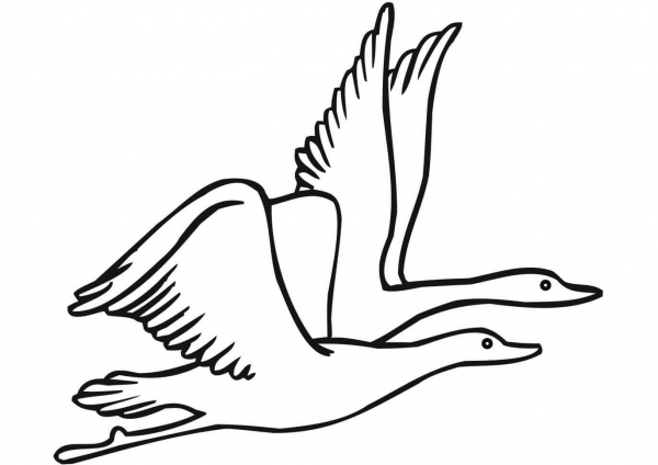 Two Flying Geese coloring page image