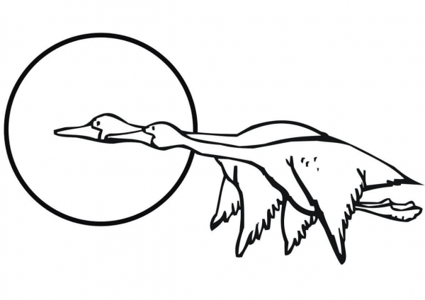 Two Flying Geese coloring page image