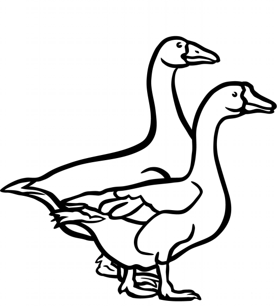 Two Geese coloring page image