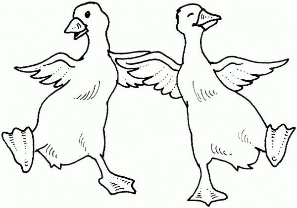 Two Geese Dance coloring page image