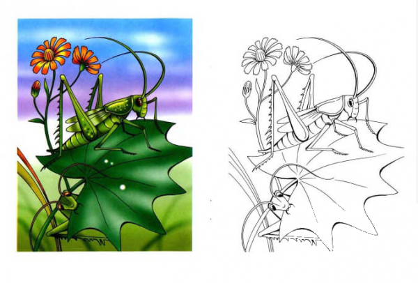 Two Grasshoppers coloring page image