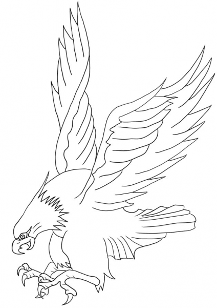 Bald Eagle Attacking coloring page image
