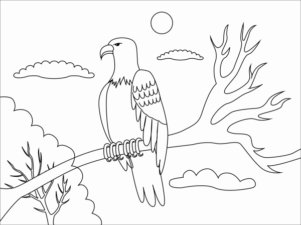 Bald Eagle coloring page image