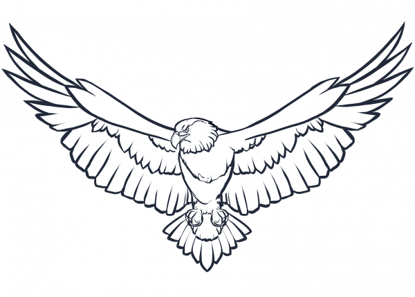 Bald Eagle coloring page image