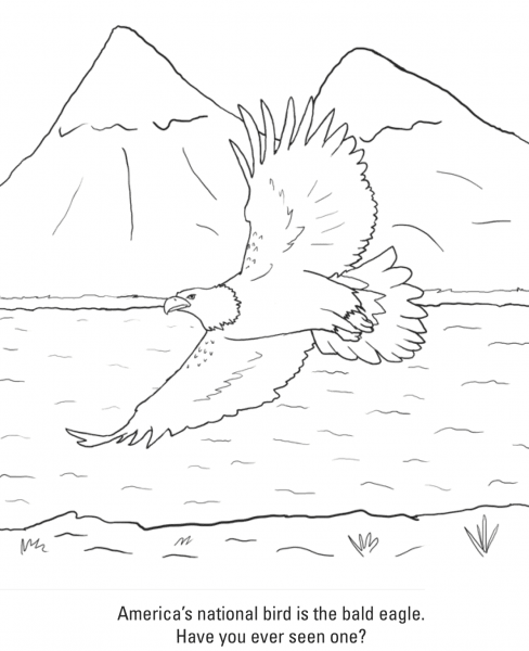 Bald Eagle coloring page image
