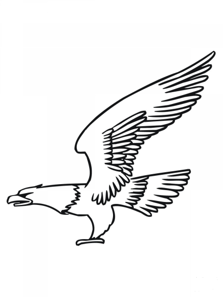 Bald Eagle Fly coloring page image