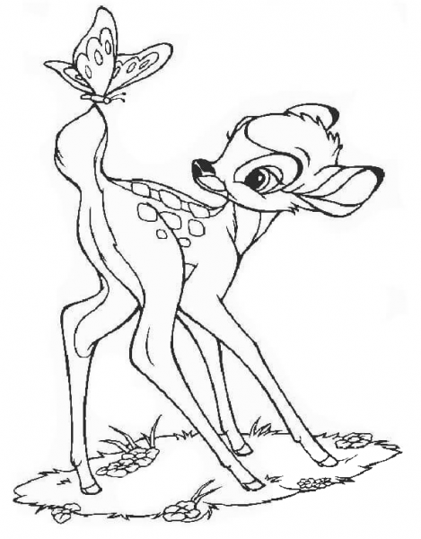 Bambi And Butterfly  coloring page image