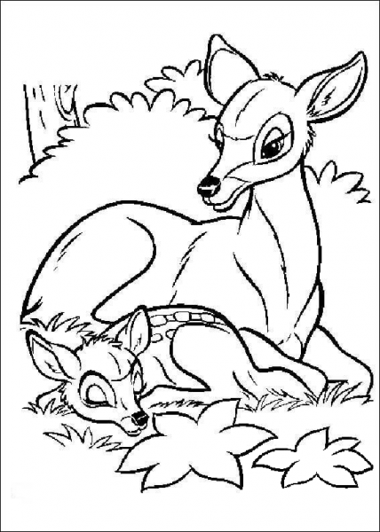 Bambi And Its Mom  coloring page image