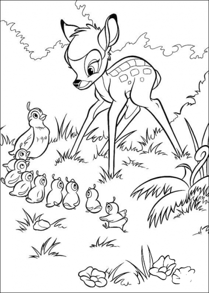 Bambi And The Pheasant  coloring page image