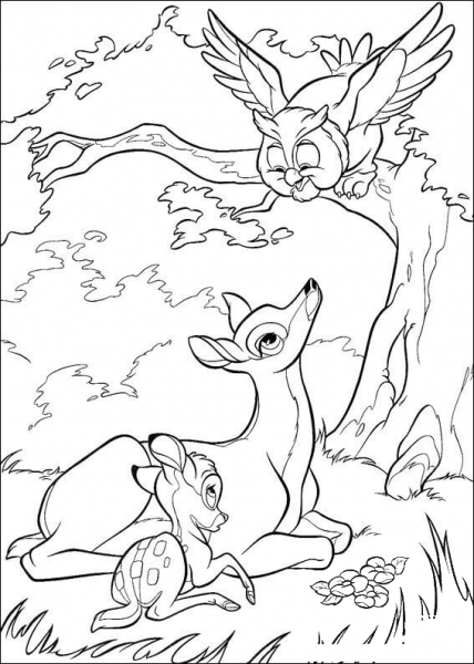 Bambi, His Mom And Owl  coloring page image