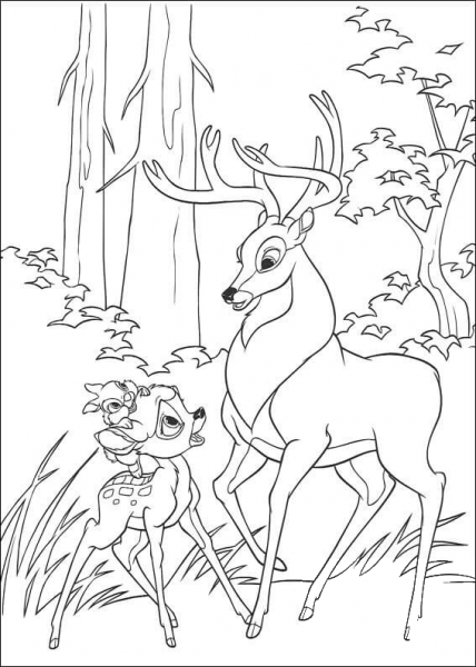 Bambi, Thumper And Roe  coloring page image
