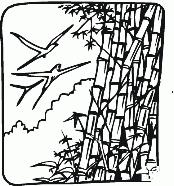 Bamboo and Birds coloring page image