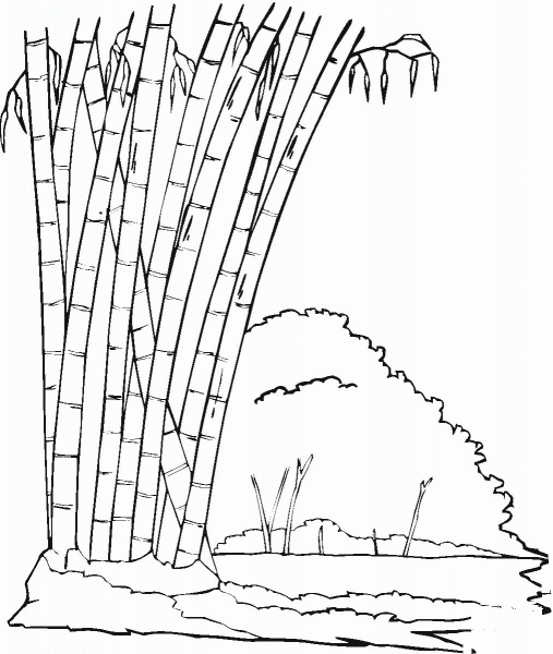 Bamboo in the Jungle coloring page image