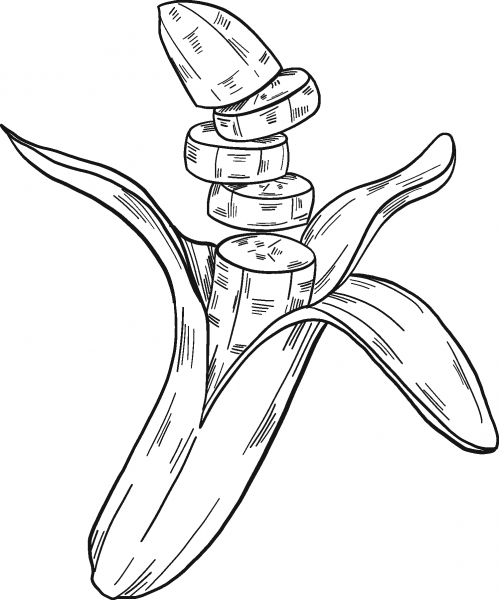 Banana coloring page image
