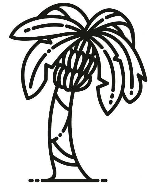 Banana Tree coloring page image