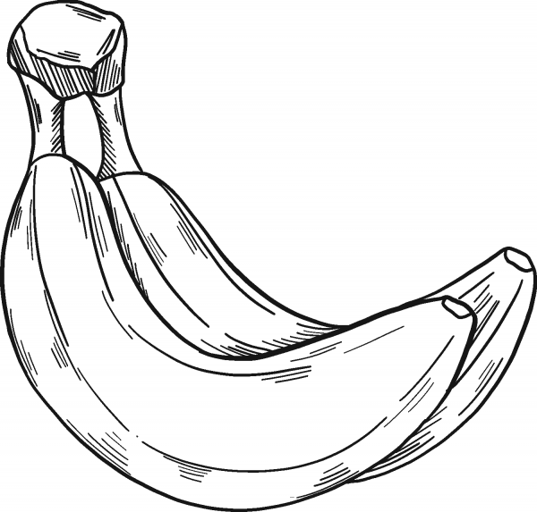 Bananas coloring page image