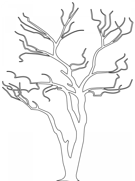Bare Tree Outline coloring page image