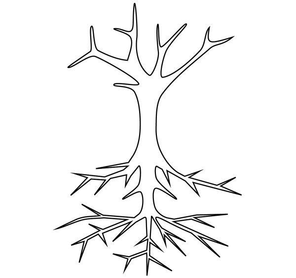 Bare Tree with Roots coloring page image