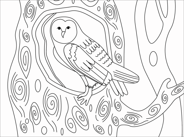 Barn Owl coloring page image