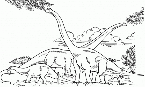 Barosaurus Hypselosaurus Brachiosaurus and Gallimimus Comparison with Human coloring page image