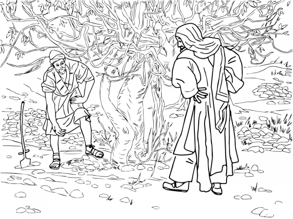 Barren Fig Tree Parable coloring page image