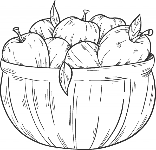 Basket with apples coloring page image