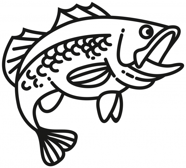 Bass Fish coloring page image