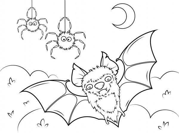 Bat and Spiders coloring page image