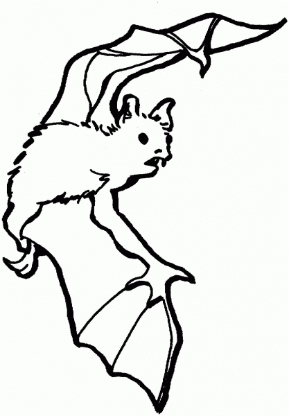 Bat coloring page image