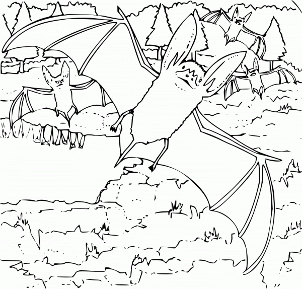 Bat  coloring page image