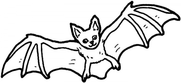 Bat coloring page image