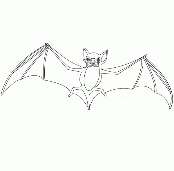 Bat coloring page image