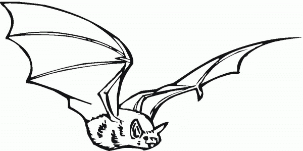 Bat coloring page image