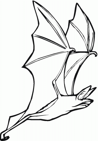 Bat coloring page image