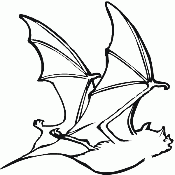 Bat coloring page image