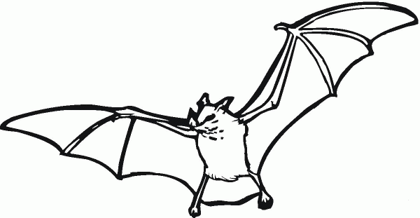 Bat coloring page image