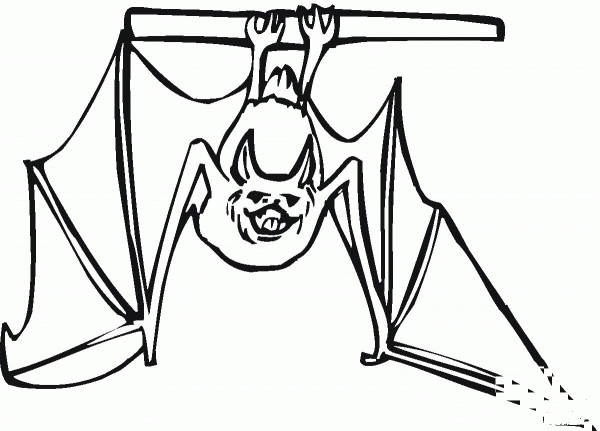 Bat Hanging Upside Down coloring page image