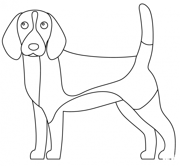 Beagle coloring page image