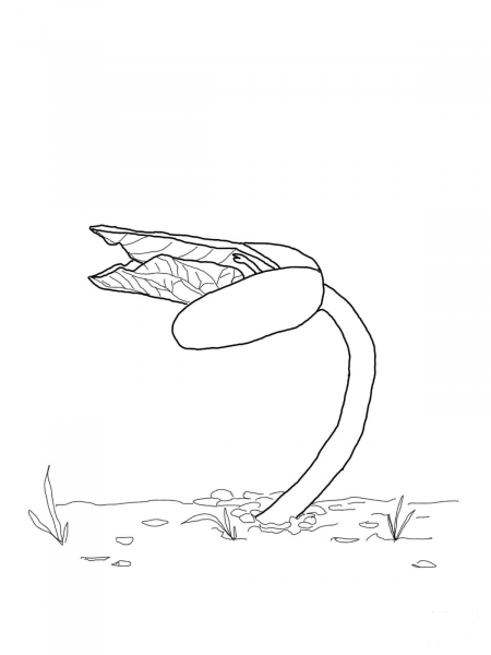 Bean Sprout coloring page image