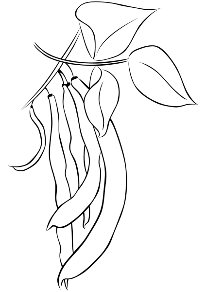 Beans coloring page image