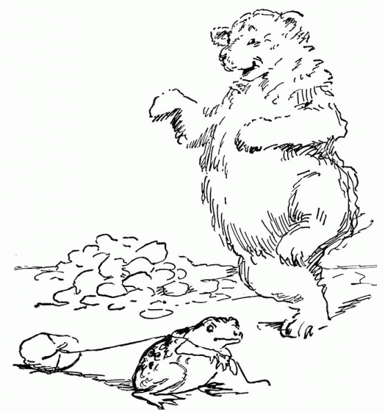 Bear And Frog coloring page image