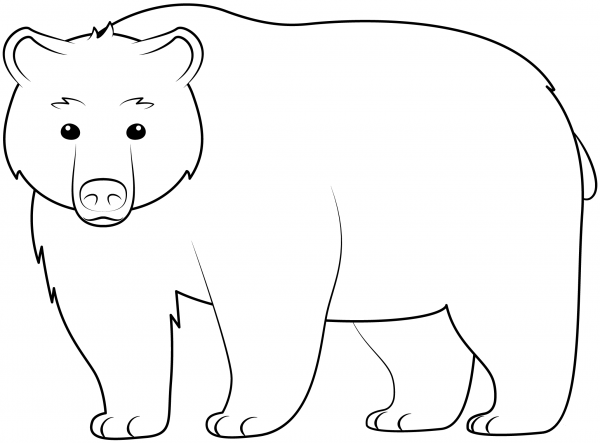Bear coloring page image